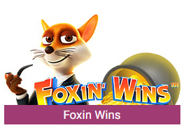 foxin wins slot 